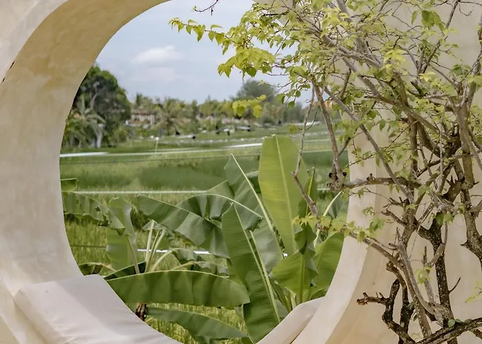 Villa Rumah Simba